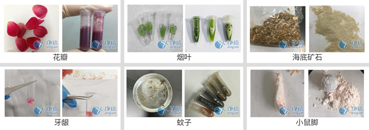 JXFSTPRP-CLN-DT冻台冷冻研磨仪-研磨案例