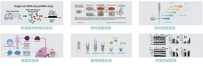 JX-CKSW系列产品应用-700 JX-CKSW系列产品应用-700