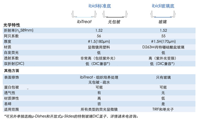 ibidi底部对比.jpg