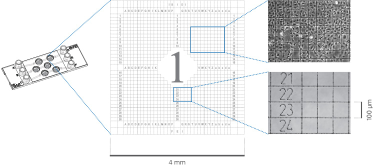 S_8036X_CorrSight_Layout.jpg